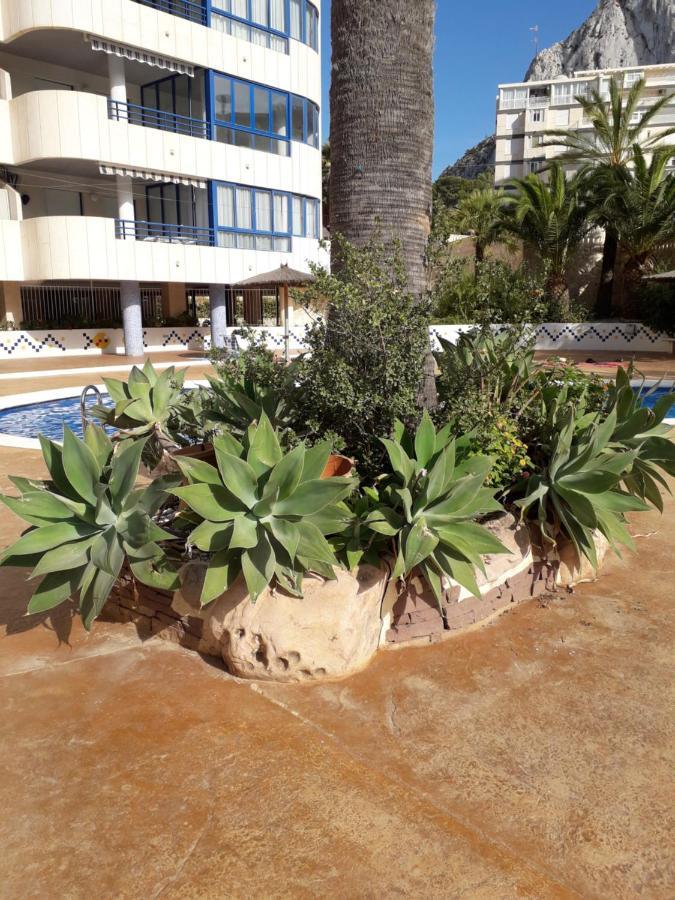 Appartement Equipe Calpe Espagne, 4 Couchages, Terrasse, Piscines, Climatisation, Garage, Wifi Gratuits 外观 照片